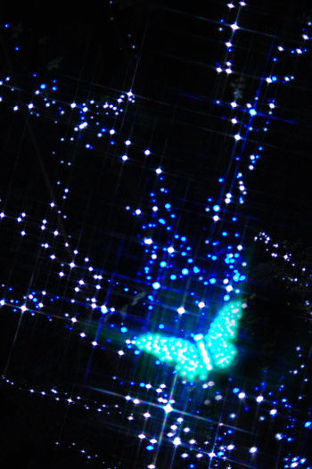 070624hikari01.jpg