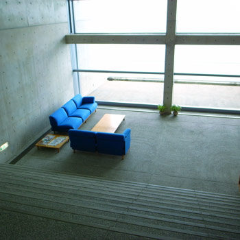 080127-tadao04.jpg